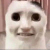 beltrankira237